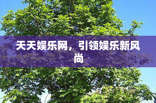 引领娱乐新风尚图片