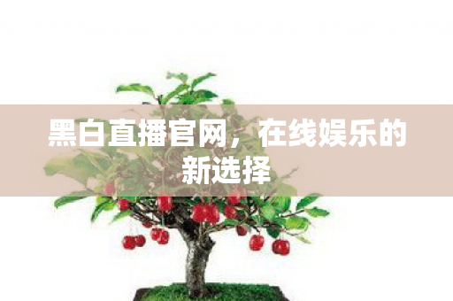 在线娱乐的新选择图片