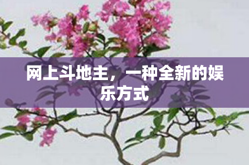 一种全新的娱乐方式图片
