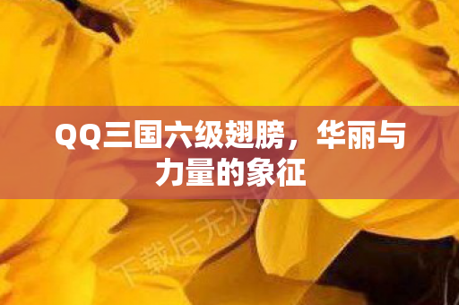 QQ三国六级翅膀图片