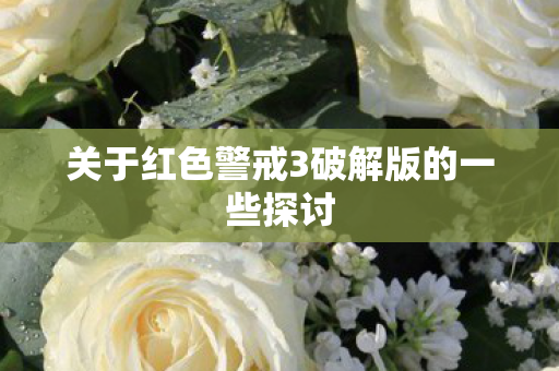 关于红色警戒3破解版的一些探讨图片