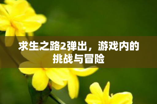 游戏内的挑战与冒险图片