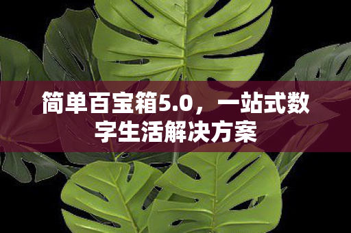 一站式数字生活解决方案图片