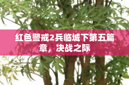 红色警戒2兵临城下第五篇章图片