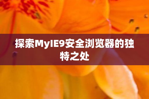 探索MyIE9安全浏览器的独特之处图片