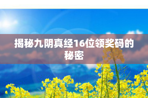 揭秘九阴真经16位领奖码的秘密图片