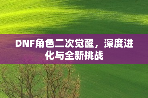 DNF角色二次觉醒图片
