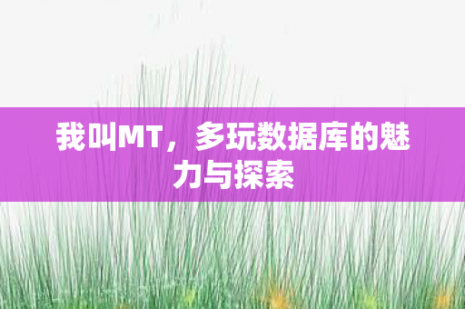 多玩数据库的魅力与探索图片