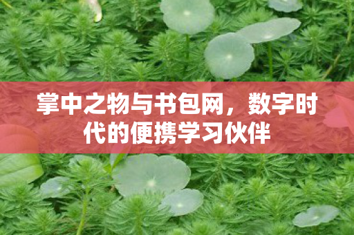 数字时代的便携学习伙伴图片