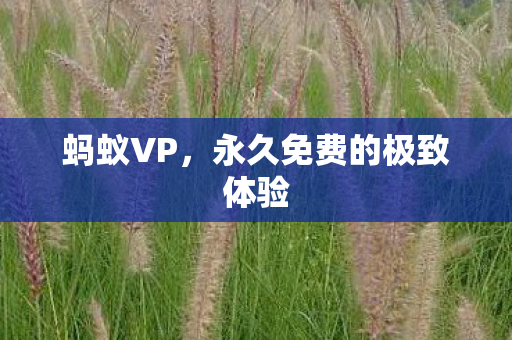 永久免费的极致体验图片