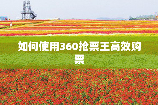 如何使用360抢票王高效购票图片