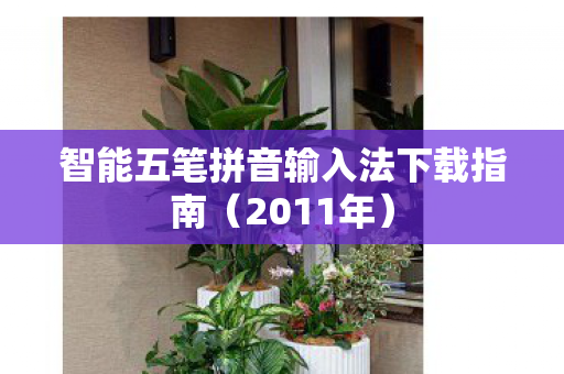智能五笔拼音输入法下载指南图片