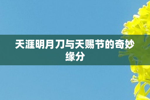 天涯明月刀与天赐节的奇妙缘分图片