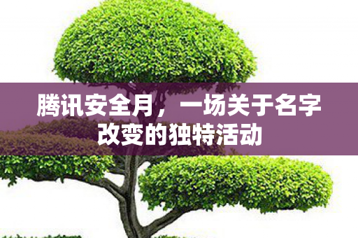 一场关于名字改变的独特活动图片