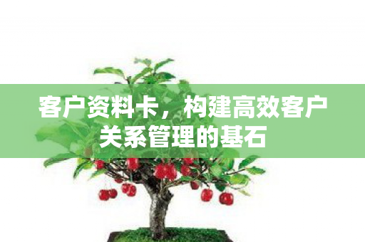 构建高效客户关系管理的基石图片