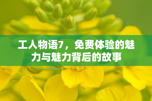 免费体验的魅力与魅力背后的故事图片