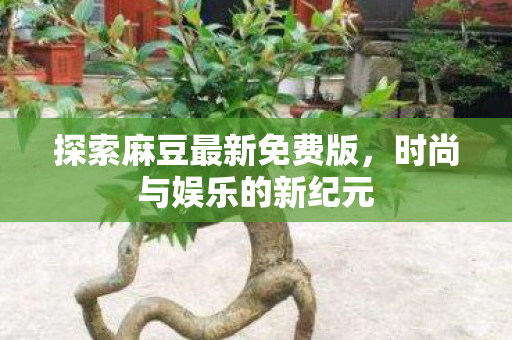 探索麻豆最新免费版图片