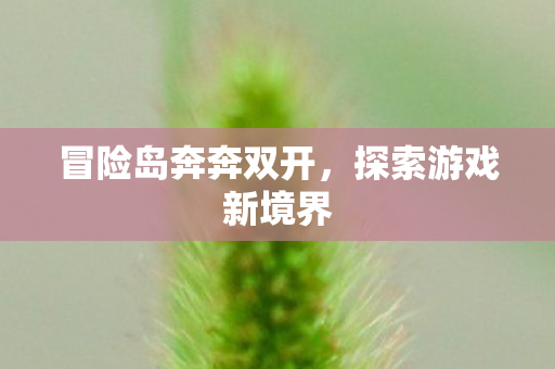 冒险岛奔奔双开图片