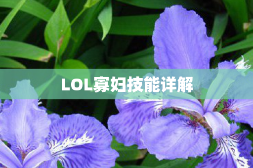 LOL寡妇技能详解图片