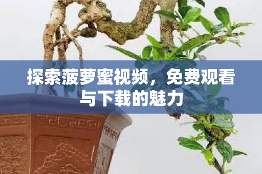 免费观看与下载的魅力图片