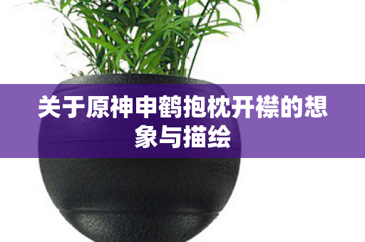 关于原神申鹤抱枕开襟的想象与描绘图片