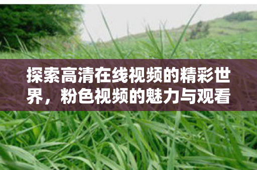 探索高清在线视频的精彩世界图片