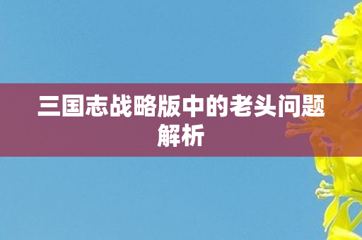 三国志战略版中的老头问题解析图片