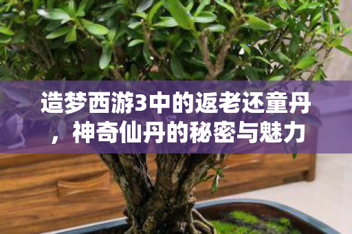 造梦西游3中的返老还童丹图片