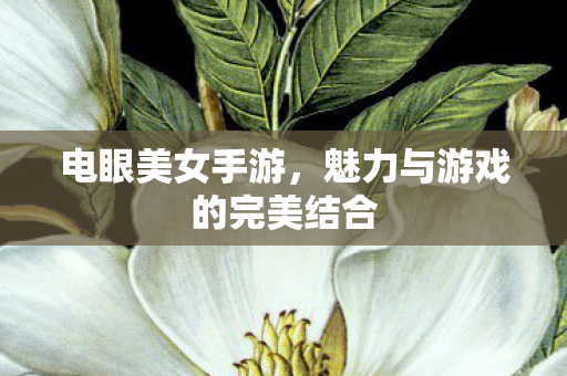魅力与游戏的完美结合图片