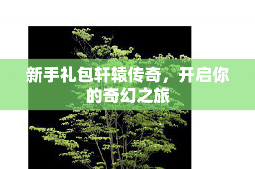 新手礼包轩辕传奇图片