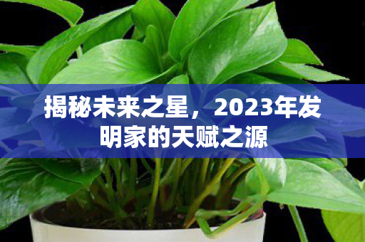 2023年发明家的天赋之源图片