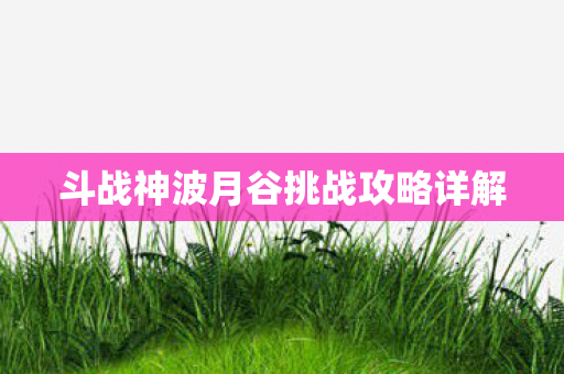 斗战神波月谷挑战攻略详解图片