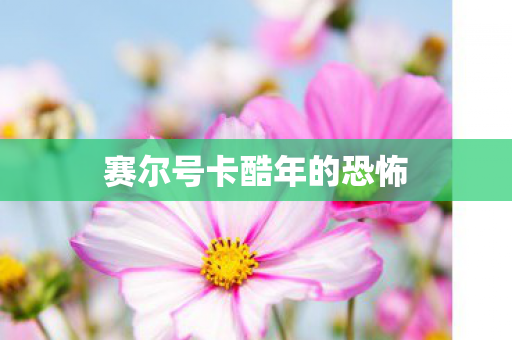 赛尔号卡酷年的恐怖图片