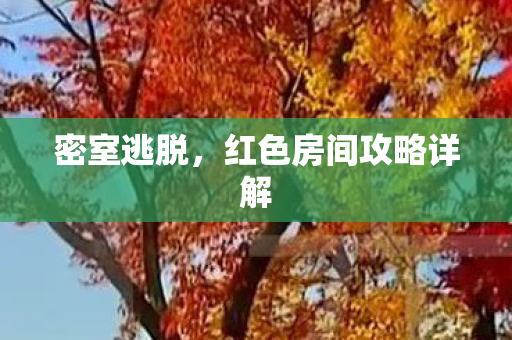 红色房间攻略详解图片