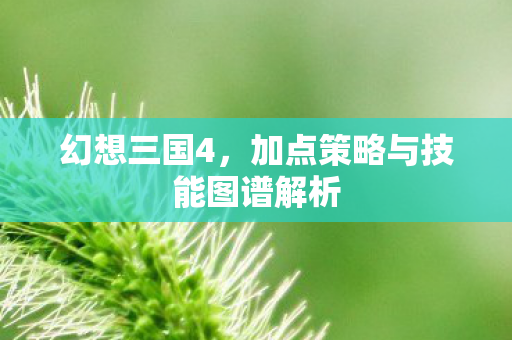 加点策略与技能图谱解析图片
