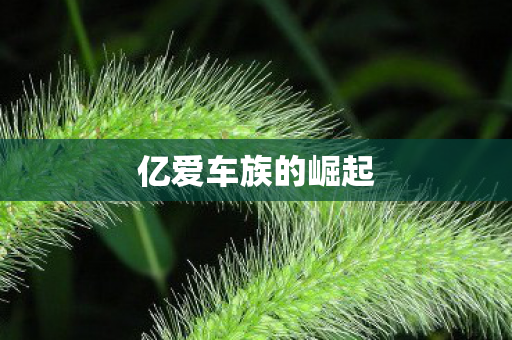 亿爱车族的崛起图片