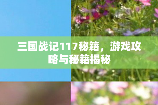 三国战记117秘籍图片