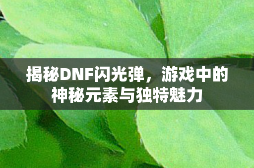 游戏中的神秘元素与独特魅力图片