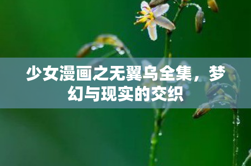 少女漫画之无翼乌全集图片