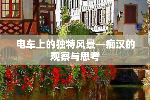 电车上的独特风景图片