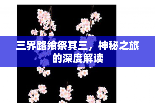 神秘之旅的深度解读图片