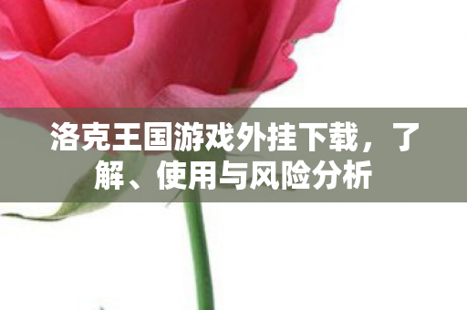 洛克王国游戏外挂下载图片