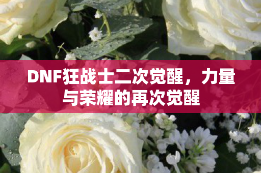 DNF狂战士二次觉醒图片