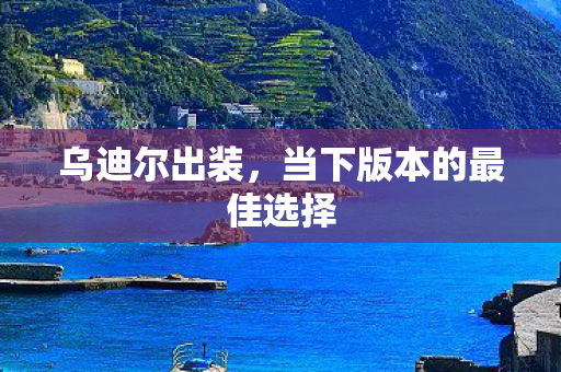 当下版本的最佳选择图片