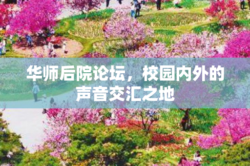 校园内外的声音交汇之地图片