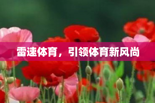 引领体育新风尚图片