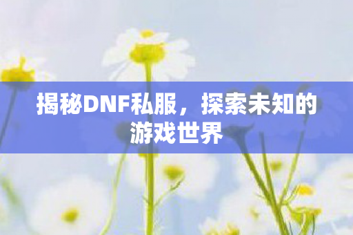 探索未知的游戏世界图片