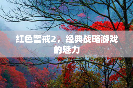 经典战略游戏的魅力图片