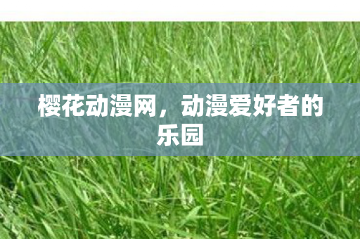 动漫爱好者的乐园图片