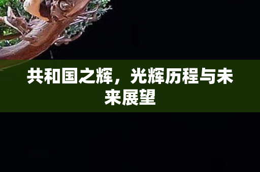 光辉历程与未来展望图片